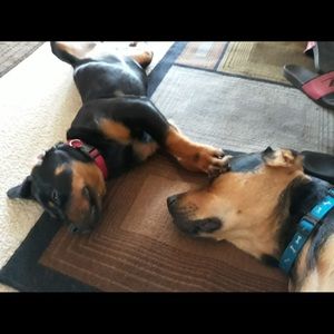 Meet your Posher, Alexis